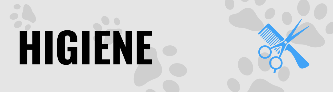 Higiene