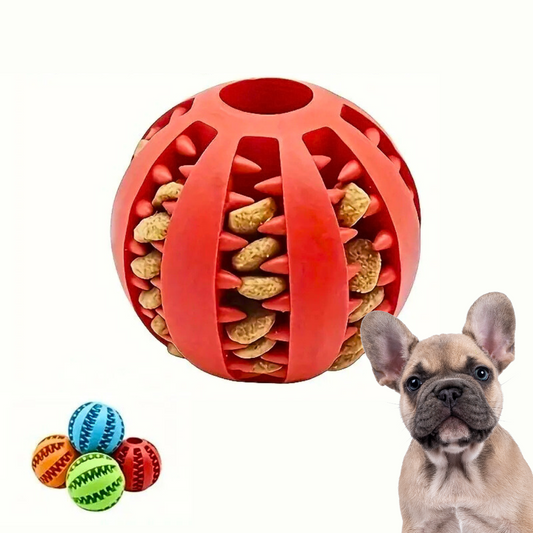 BolaComida™ - Come, limpa, exercita, tudo ao mesmo tempo!