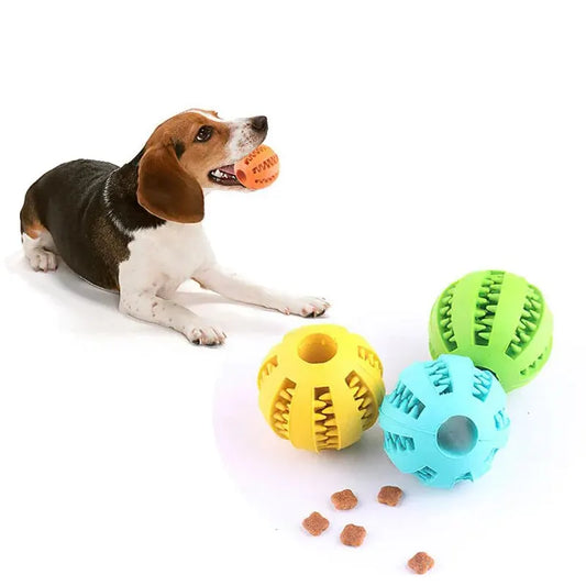 BolaComida™ - Come, limpa, exercita, tudo ao mesmo tempo!